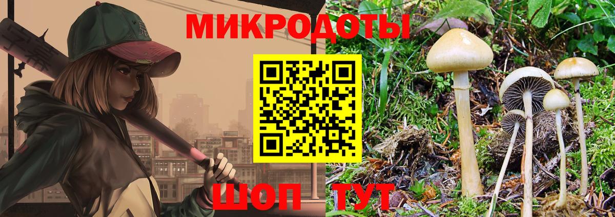 Казань  Галлюциногенные грибы мицелий  закладка  Вход с VPN 