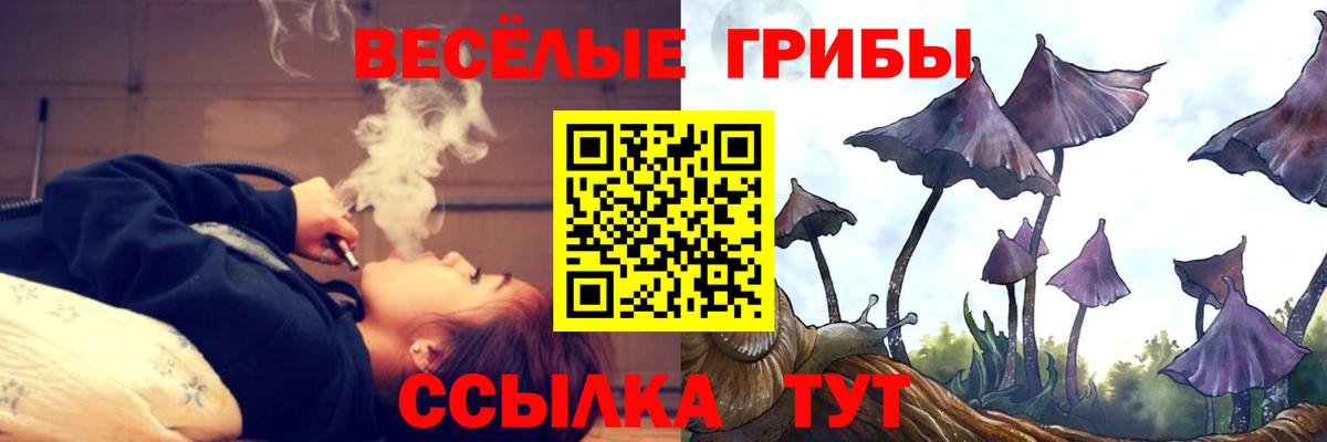 Псилоцибиновые грибы Cubensis Казань